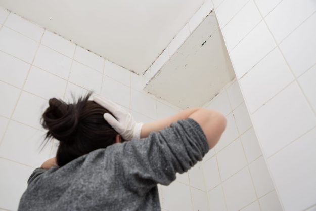 Mold,Or,Fungus,Of,The,Wall,In,The,Shower,Room Bathroom faults