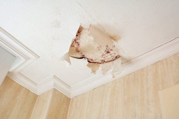 Peeling,Paint,Wall,Of,Water,Leak,In,Plaster,Ceiling,Of Bathroom Renovations